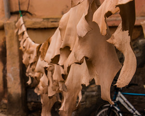 Leather in a moroccan tannery