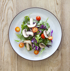 Garden Salad