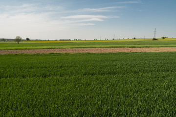 early spring rural landscape