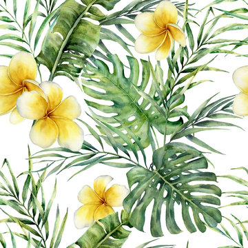 Watercolor palm leaves and plumerial pattern. Hand painted tropical frangipani with monstera and palm leaves isolated on white background. Botanical illustration for design, print, fabric, background.