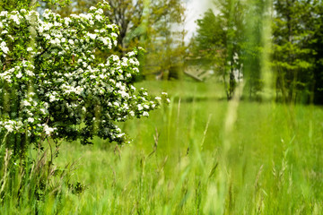 Fototapeta premium OLYMPUS DIGITAL CAMERA