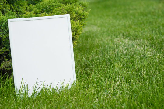 White frame on a background of green grass