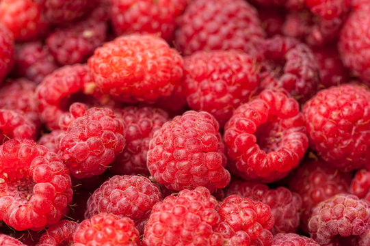 sweet raspberry fruit