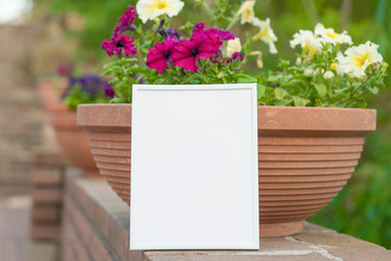 White frame on a background of flowers