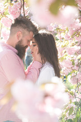 Couple in love hiding behind cherry blossom tree, side view. Romantic date in idyllic garden, spring concept. Bearded man caressing pretty girl with red lips over blurred pink floral surroundings