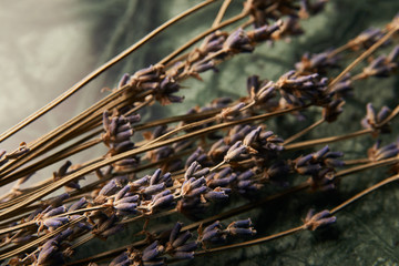 Dry violet color flowers on green marble background, close-up
