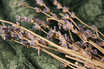 Dry violet color flowers on green marble background, close-up