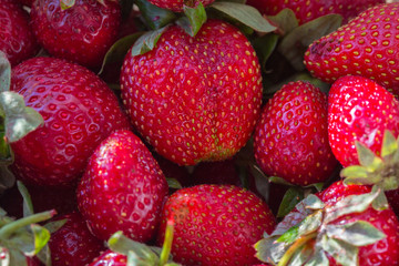 strawberries macro