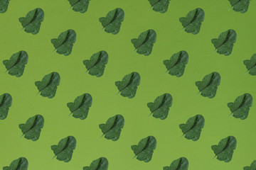 Fresh green leaf of spinach on a green background .  Creative concept.