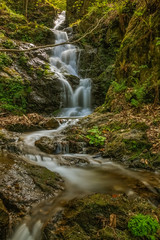 Stream flowing through the forest near the  north Italian village Nocerno