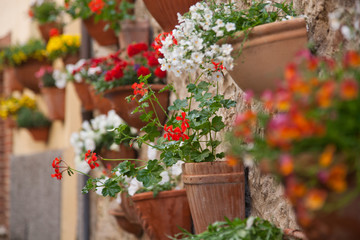 Fototapeta na wymiar pots of flowers on the walls in a small village in Tuscany
