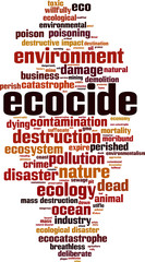Ecocide word cloud