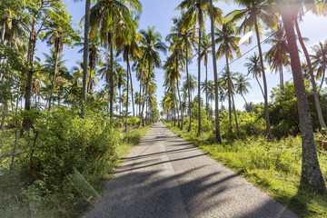 Obraz premium A road to the main pier in Riung, East Nusa Tenggara, Indonesia.