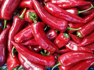 Groceries of vegetables, summer salads!