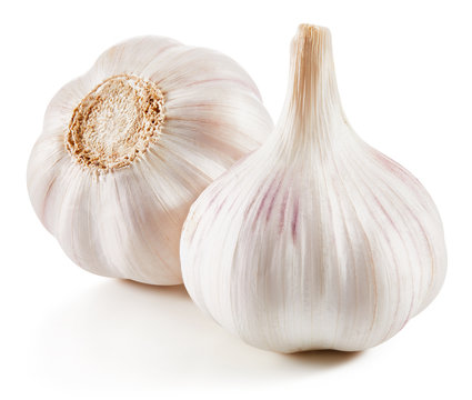 Garlic Isolated on white