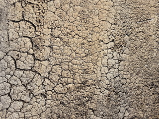  Dry cracked earth background, clay texture