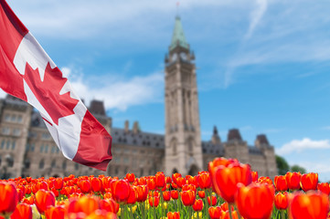 Canadian Parliament Building at Ottawa - obrazy, fototapety, plakaty