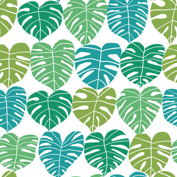 Monstera vector seamless pattern isolated on white