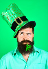 St. Patrick's Day. Bearded man in leprechaun hat. Portrait of pensive man. Clover in mouth. Bearded leprechaun. Happy Irish leprechaun with black beard. Bearded man.