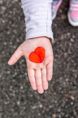 Girl showing a heart in his hand