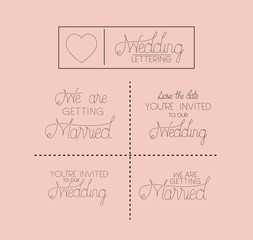 wedding and married invitation set cards vector illustration design