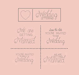 wedding and married invitation set cards vector illustration design