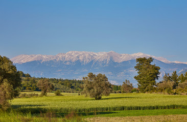 Fototapeta premium mountain scenery in nature park near kemer, turkey