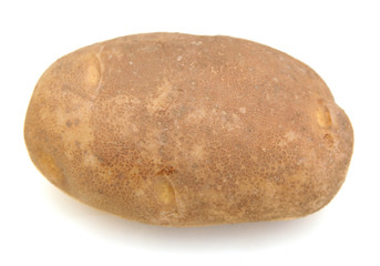 Fototapeta na wymiar Potato isolated on a white background