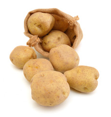 Raw  potatoes in burlap sack isolated on white background