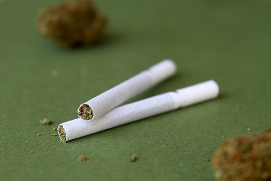 Marijuana Cigarettes (Joints) with Cannabis Buds