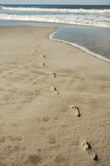 Fototapeta na wymiar Walk in the Sand