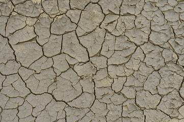 The parched soil