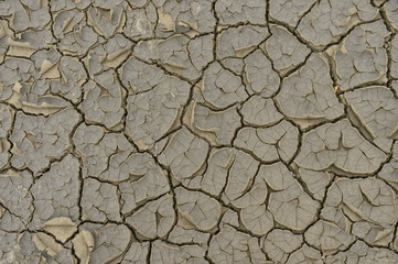 The parched soil