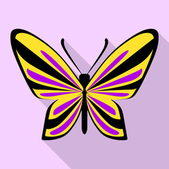 Purple yellow butterfly icon. Flat illustration of purple yellow butterfly vector icon for web design