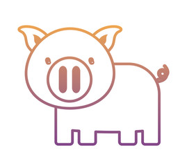 cute pig icon over white background, colorful design. vector illustration