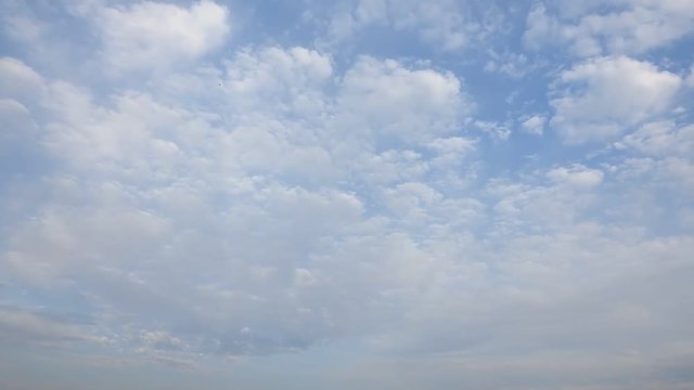 夕方近くなり、ゆったりとした雲ですが、鳥は忙しく飛んでいます。空のタイムラプス動画