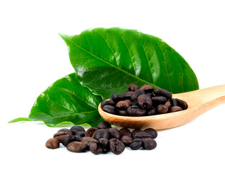 coffee bean on wood spoon isolated on white background