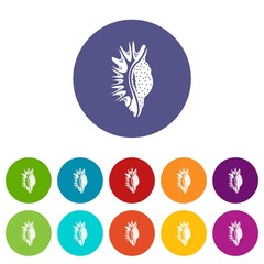 Exotic shell icon. Simple illustration of exotic shell vector icon for web