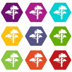 Cloud tree icons 9 set coloful isolated on white for web