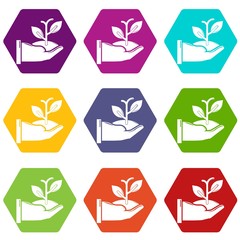 Hand sprout icons 9 set coloful isolated on white for web