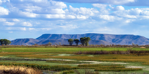 Obraz premium Panorama of the beautiful marsh in Alamosa National Wildlife Refuge at the edge of the Sangre de Cristo Mountains in southern Colorado