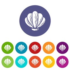 Beautiful shell icon. Simple illustration of beautiful shell vector icon for web