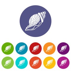 Nature shell icon. Simple illustration of nature shell vector icon for web