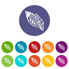 Ocean shell icon. Simple illustration of ocean shell vector icon for web