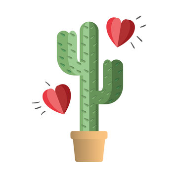 cactus in pot houseplant with heart vector illustration design