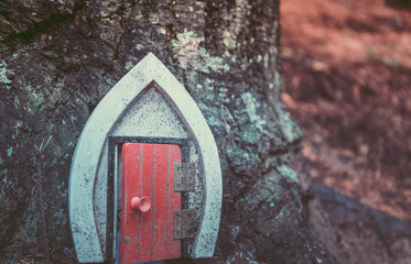 Close up of tree trunk with door in the forest in Autumn
