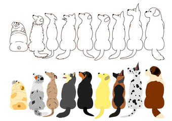 Obraz premium dogs looking up sideways in a row