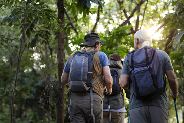 Fototapeta premium Seniors trekking in a forest