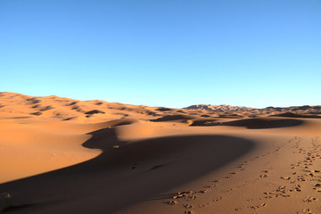 Fototapeta na wymiar サハラ砂漠