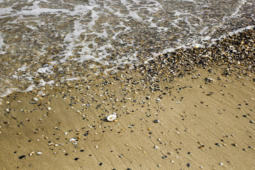 Sea wave on the shore